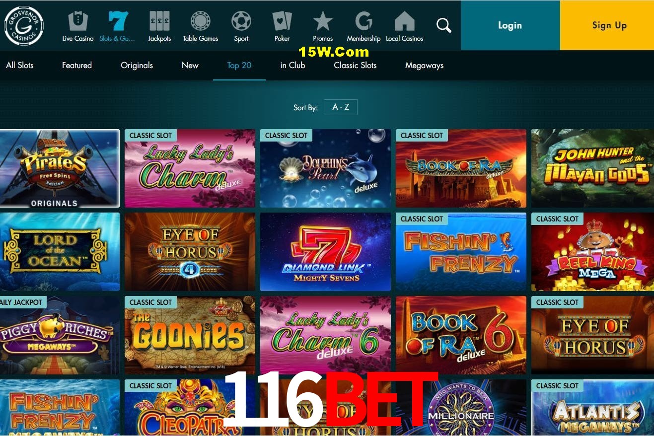 Player Reviews 116Bet